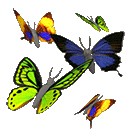 Анимационные бабочки